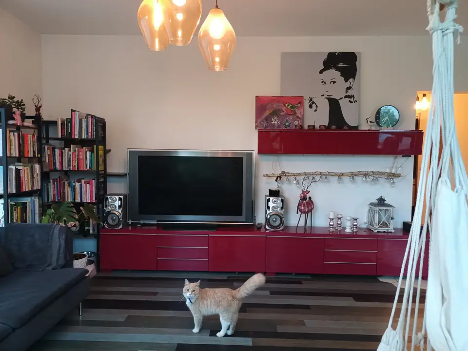 2-room flat in Włochy 5