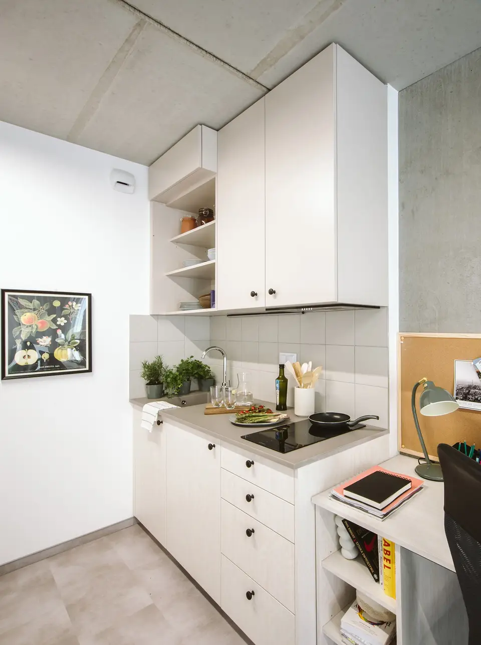 shared room in Mokotów 7