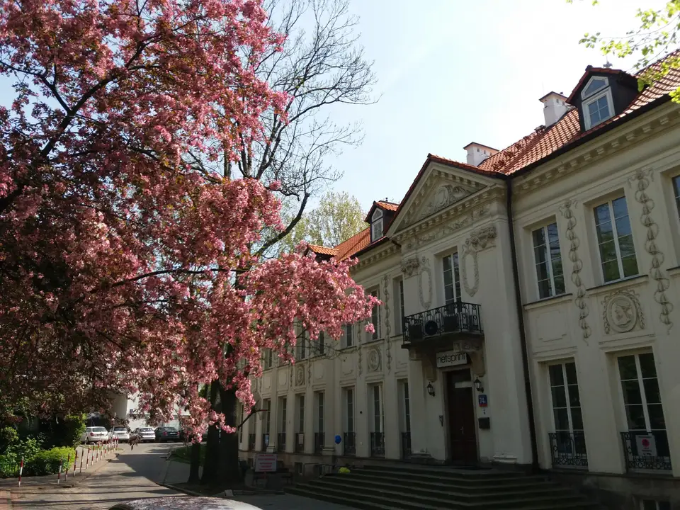 studio in Śródmieście 11